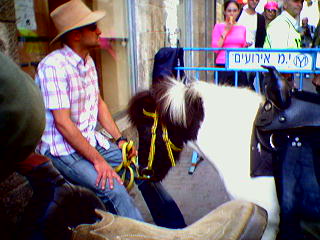Ponies for Purim